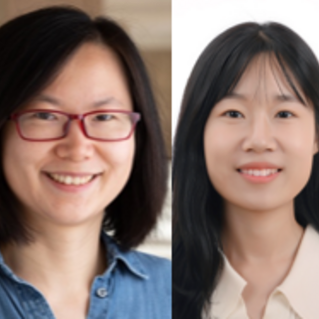 Zhu Zhu Zhang &amp; Jiaqi Li, 2026 Safadi Pilot Grant Recipients